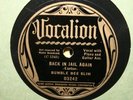 Vocalion 03242 Bumble Bee Slim New Policy Dream Blues Back In Jail Again 78