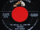 Elvis 