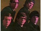 The Zombies, Begin Here LP, Sweet Dandelion 2008 UK Issue **VERY RARE**