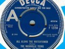 THE NASHVILLE TEENS*ALL ALONG THE WATCHTOWER*DEMO*LISTEN