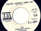 13th Floor Elevators...You're Gonna Miss Me  Int'l Artists...107 dj  Texas Psych