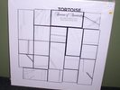 Tortoise 