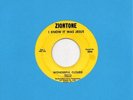 WONDERFUL CLOUDS on ZIONTONE 594 rare GA gospel 45 *Listen*
