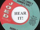 David Box TEEN 45 (Joed) Little Lonely Summer Girl/No One Will Ever Know VG+