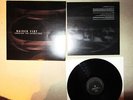 RAISED FIST - ignoring the guidelines RAR ORIG.-LP 2000