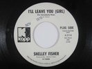Funk 45 SHELLEY FISHER I'll Leave You Girl on Kapp WLP