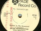 DARYL VINCENT*WILD WILD PARTY*BEAT DANCER*HEAR IT