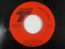 Northern Soul 45 THE MIST Life Walked Out on Twinight