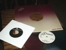 BUMBLEBEE UNLIMITED 'LOVE BUG' Original RAINBOW VINYL 12