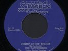 DOO WOP 45 - DANDERLIERS - STATES 147