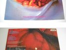 CADAVER (Nor) Hallucinating Anxiety LP RARE Death Metal Cult  Amputation, Vomit