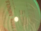 SEALED* Dirty Face Angels - Actin' Up *GREEN VINYL* Scarce 1999