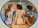PINK FLOYD  RARE BEAUTIES  PICTURE LP   EX+/VG+++  SEXY ROCK NUDE CHEESECAKE