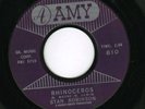 Stan Robinson 'Rhinoceros' b/w 'Can she give you fever' 45rpm Popcorn R&B Mod