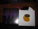 The Black Belles TRI COLOR Honky Tonk Horror/Dead Shoe 7