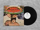 EDEN'S CHILDREN - S/T LP US HEAVY PSYCH GARAGE MONO PROMO ONLY