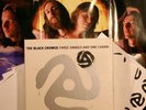 The Black Crowes - Three Snakes and One Charm 7