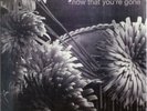 Ryan Adams - Now That You're Gone - 7