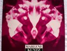 MARLENE KUNTZ - IL VILE