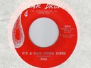 garage   HIM   It's A Man Down There TEAR DROP Doug Sahm M- HEAR