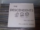 Rare Orig The Descendents RIDE THE WILD 1981 Orca 45 7