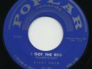 KENNY OWEN I Got The Bug / High School Sweater  ROCKABILLY  45 RPM  RECORD
