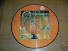 Slayer - Hell Awaits Lp - Pic.Disc - 1st press - No.3664/5000 Metallica Megadeth