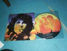 HYPER RARE  PICTURE DISC 25CM THE DOORS ETAT NEUF