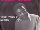 Rare Cameroon Afro Disco Synth Funk 45-Seke Seke Sonafric?