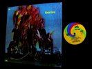 SHRINK '68 ORIG 1st FEVER TREE   Texas Garage Psych SAN FRANCISO GIRLS Fuzzrock