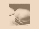 TRISTAN TZARA*LOUISE CYPHRE*ORCHID*ZANN*RAEIN*LA QUIETE*SHIKARI*JEROMES DREAM