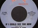 Rare 60's Northern Soul 45 - SUNNY & THE SUNLINERS (RPR)