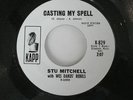 Garage band, Stu Mitchell with Wes Dakus' Rebels  45 record 