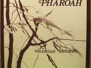 PHAROAH SANDERS ON INDIA NAVIGATION IN 1027 -- RARE -- LISTEN