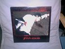 Ryan Adams - Rock N Roll  - Vinyl Album in Very Good Condition