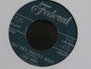 LULU REED - SAY HEY PRETTY BABY - US FEDERAL - Top mod RnB dancer - HEAR