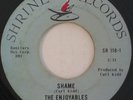 THE ENJOYABLES Shame  NORTHERN SOUL 45 Shrine MP3