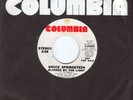 BRUCE SPRINGSTEEN Blinded By The Light Mono/Stereo Versions WLP Promo #4-45805