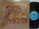 FEVER TREE - For Sale (RARE US Pressing on AMPEX, Garage-Psych)