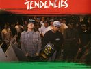Suicidal Tendencies - Possessed To Skate (CAROL 1453)(CB) VG++/NM ORIG w/ POST