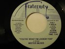 RARE Modern Soul MISTER MCGEE You're What I'm Lookin For  / Sue  FRATERNITY Hear