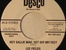 LEE FIELDS Hey Sallie Mae, Get Off My Feet RARE FUNK/SOUL 45 Desco MP3