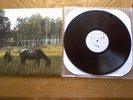 PIANOS BECOME THE TEETH OLD PRIDE TEST PRESS TOUCHE AMORE CONVERGE LA DISPUTE LP