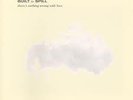 BUILT TO SPILL- THERE'S NOTHING WRONG WITH LOVE VINYL LP RARE