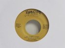Modern soul stepper Boogie O.T SYKES my first love 1980-HEAR
