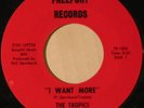 THE TROPICS I Want More RARE GARAGE/MOD/SOUL 45 Freeport MP3