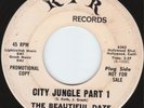 BEAUTIFUL DAZE / CITY JUNGLE PART 1 /2 - RPR US 67 ORIG Psych / Garage   FUZZ 