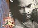 ROGER TROUTMAN 