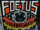 Foetus Interruptus - Thaw - With Insert - Vinyl Lp