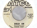 UK Mod freakbeat SHARON TANDY Hold On   Fleur de Lys   HEAR